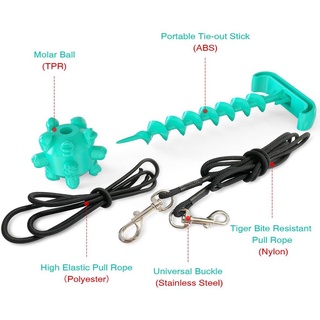 PAN- Luyện Răng Thú Cưng Khoẻ và Sạch Pin Dog Leash - Dog Molar Bite Toys 🍀 𝐅𝐑𝐄𝐄𝐒𝐇𝐈𝐏 🍀