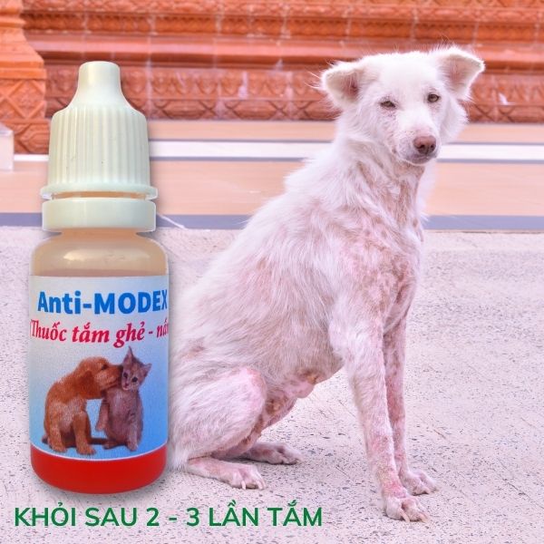 Thuốc tắm nấm, ghẻ, viêm da chó mèo Anti-MODEX chai 10ml