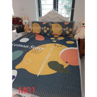 bộ chăn ga gối phủ trần bông[ 1m6 x 2m, 1m8 x 2m, 2m x 2m2 ]
