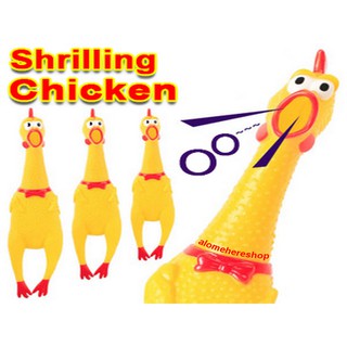 Gà trống thét shriling chicken 40cm