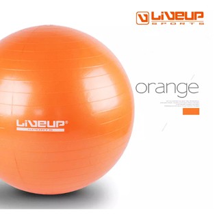 BÓNG YOGA LIVEUP (65CM)