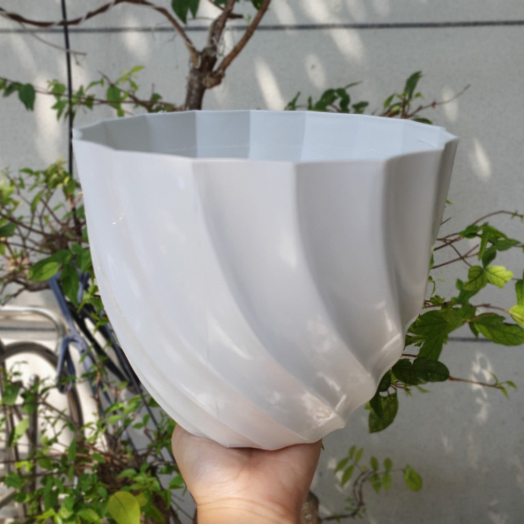 Chậu ốc xoắn trồng hoa màu trắng nhựa dày đẹp 21x17cm và 17x14cm