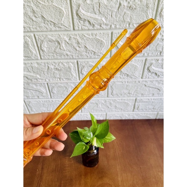 SÁO RECORDER MÀU TRONG SUỐT 8 LỖ