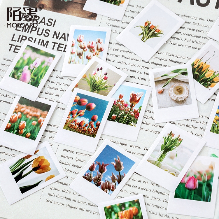 Hộp 46 miếng dán sticker hình mùa hoa tulip trang trí sổ tay Box Sticker ST335