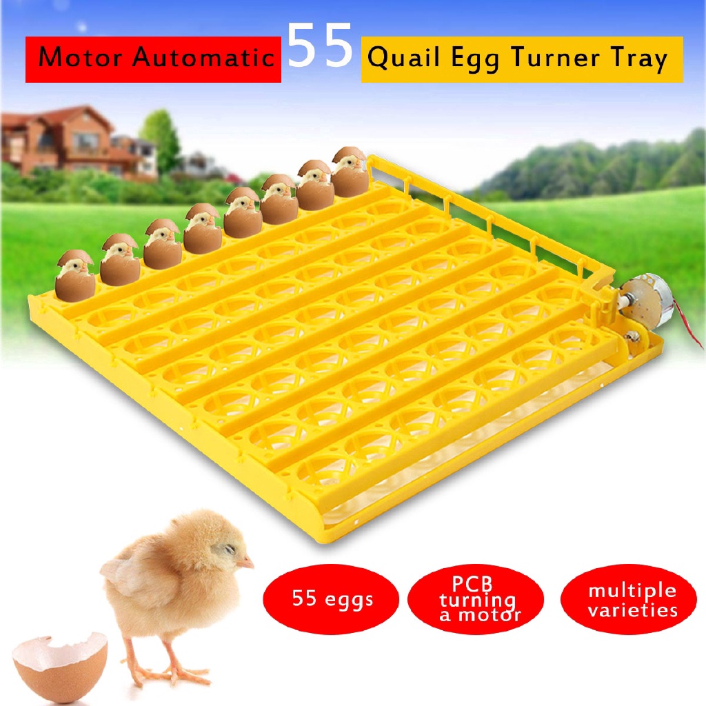 Máy Ấp Trứng Gà Tự Động 55 Ngăn 220v