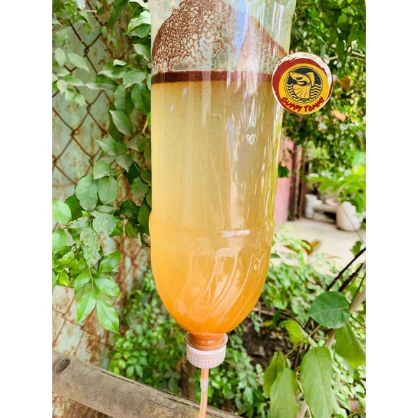 Atermia lon xanh 425g