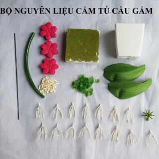 Hoa cẩm Tú cầu