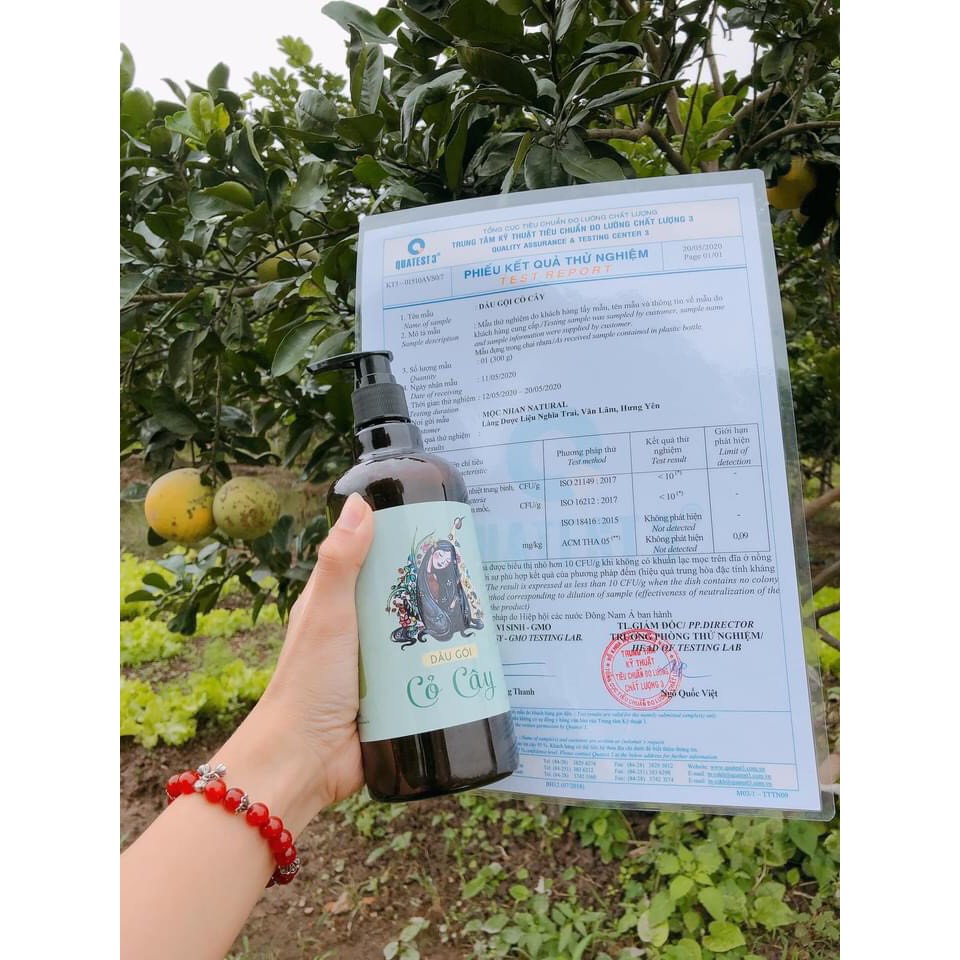 Tiemxuongrong - Handmade Dầu gội thảo dược Mộc Nhan, sạch gầu, hết rụng tóc, hết ngứa, tiệm xương rồng | BigBuy360 - bigbuy360.vn