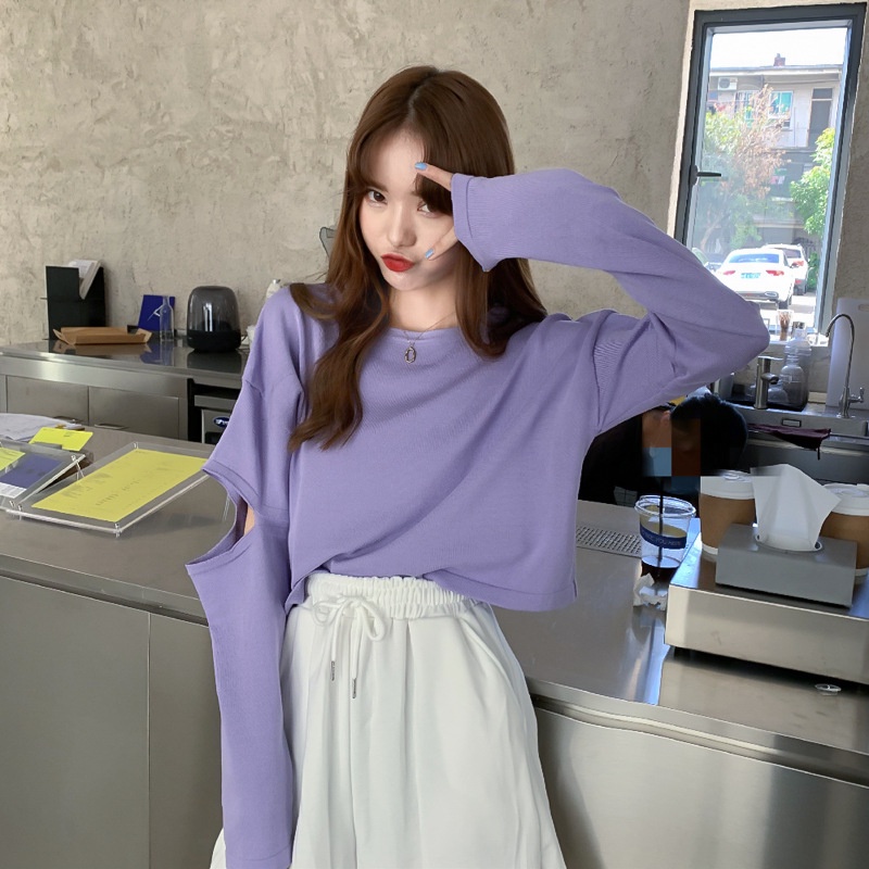 Áo Sweater Mỏng Tay Dài Lưng Cao Phong Cách Mới Dành Cho Nữ FT6058