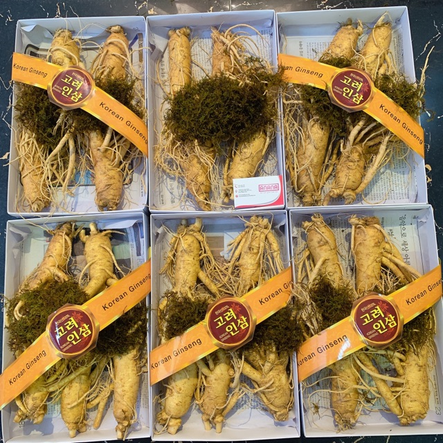 Nhân sâm tươi 180.000/1 củ size sâm 10-11 củ/kg Hàn Quốc | BigBuy360 - bigbuy360.vn