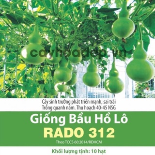 Hạt Giống Bầu Hồ Lô 312 (10 hạt)