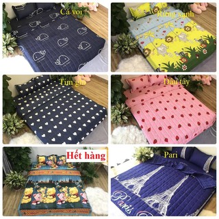 Bộ ga gối poly cotton m6/m8 ( được chọn mẫu)