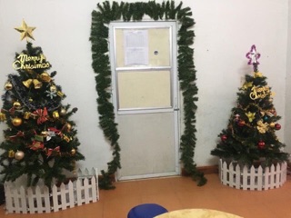 Cây thông noel cao m5
