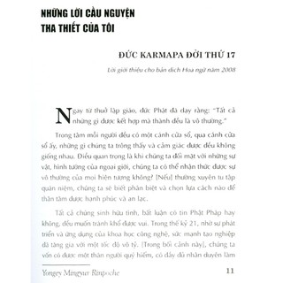 Sách - Sống Một Đời Vui - Yongey Ningyur Rinpoche