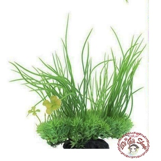 Cây trang trí bể cá cây thủy sinh giả