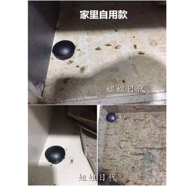 Hộp diệt gián Nhật