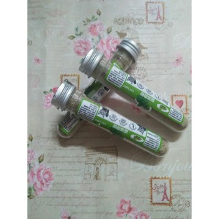cỏ bạc hà mèo