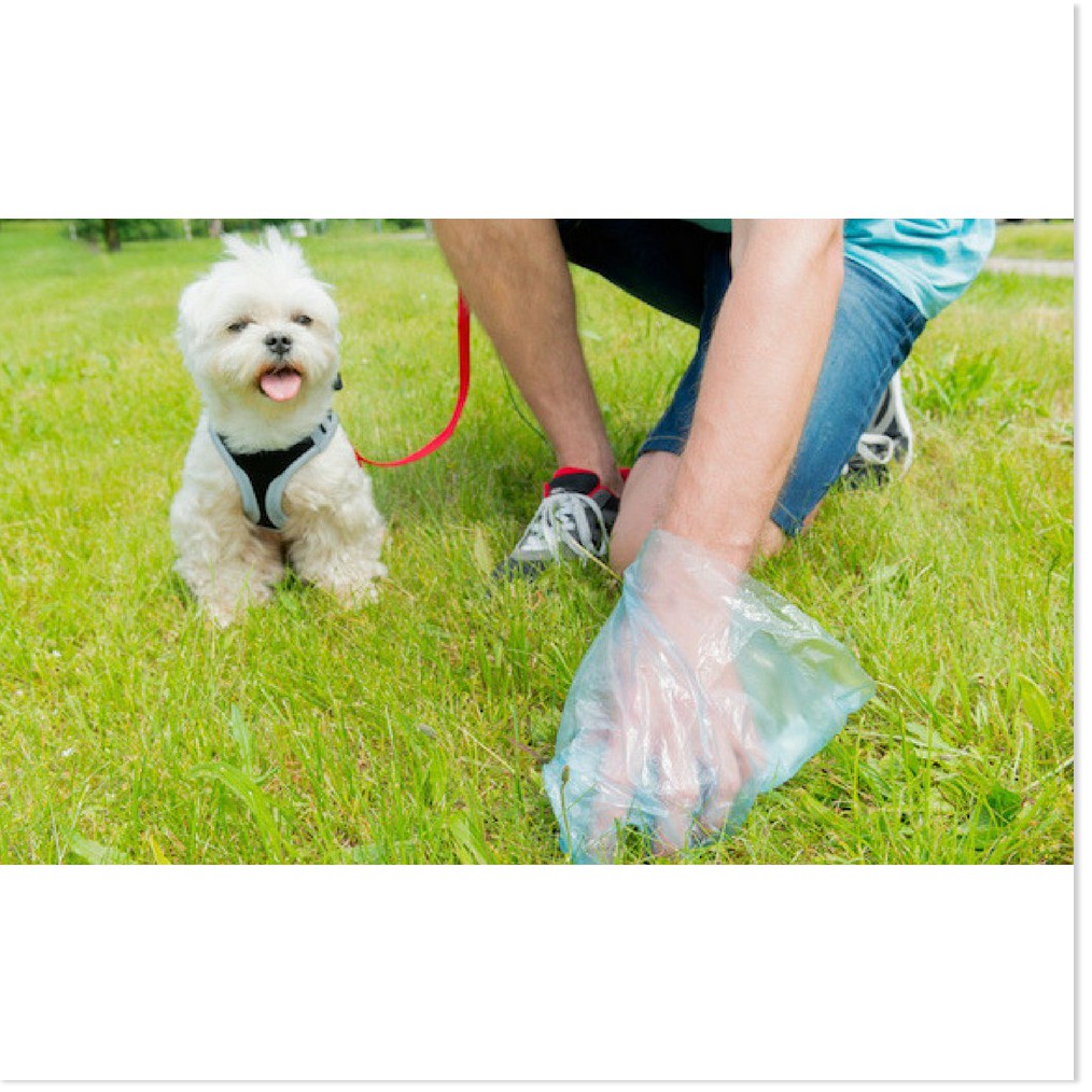 HN- Túi hốt phân chó dạng túi bốc kít chó mèo tự hủy chất liệu nilon dày dễ dàng bốc phân chó rơi vãi