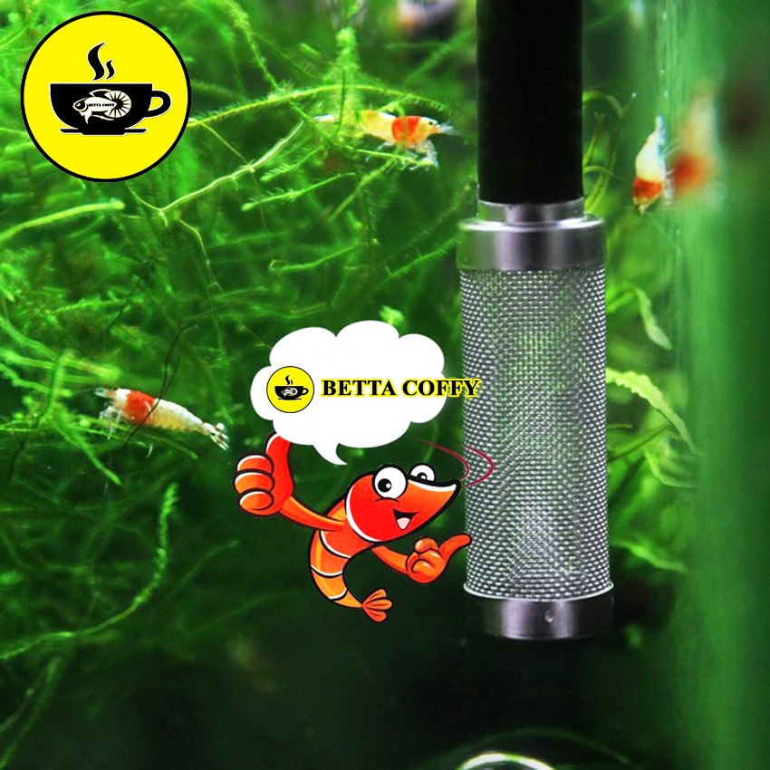 Bịt Tép Inox loại tốt - BETTA COFFY