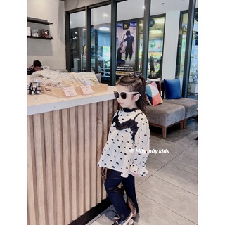 Áo sơ mi Hàn Quốc