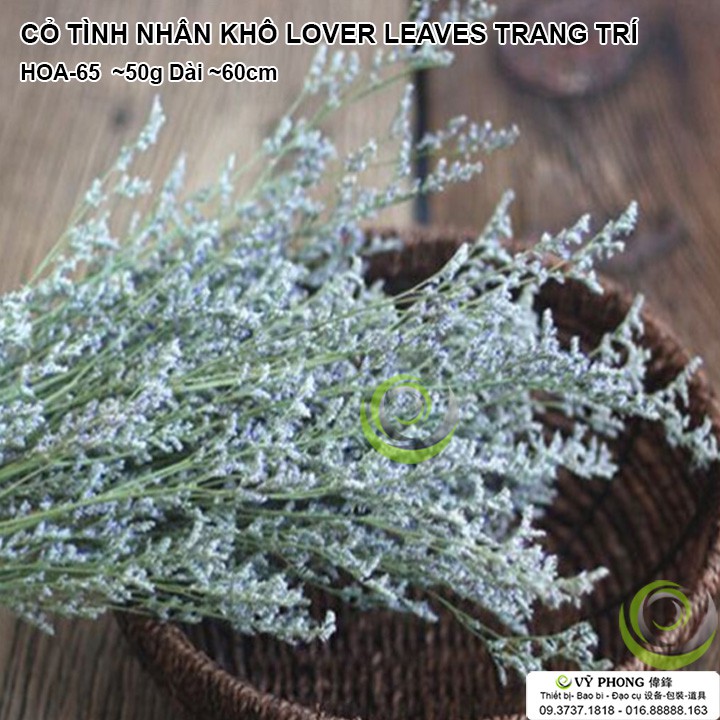 CỎ TÌNH NHÂN KHÔ LOVER LEAVES TRANG TRÍ NHÀ CỬA ĐẠO CỤ CHỤP ẢNH SẢN PHẨM INS HOA-65