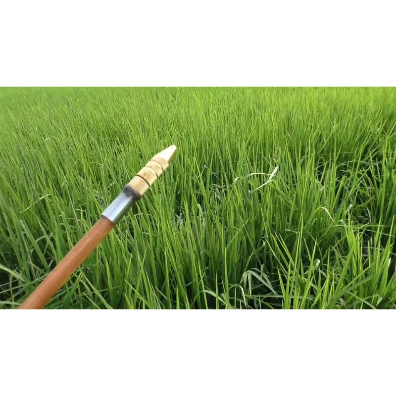 2 béc rửa xe cao áp đa năng loại 1