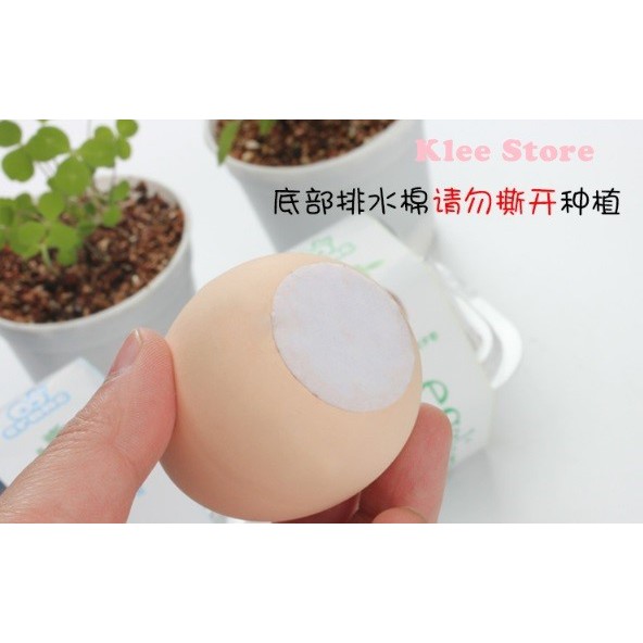 Cây xanh may mắn mọc từ vỏ trứng Eggling Egg | BigBuy360 - bigbuy360.vn