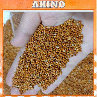Hạt kê đỏ cho chim vẹt yến phụng gáy thức ăn cho chim Ahino