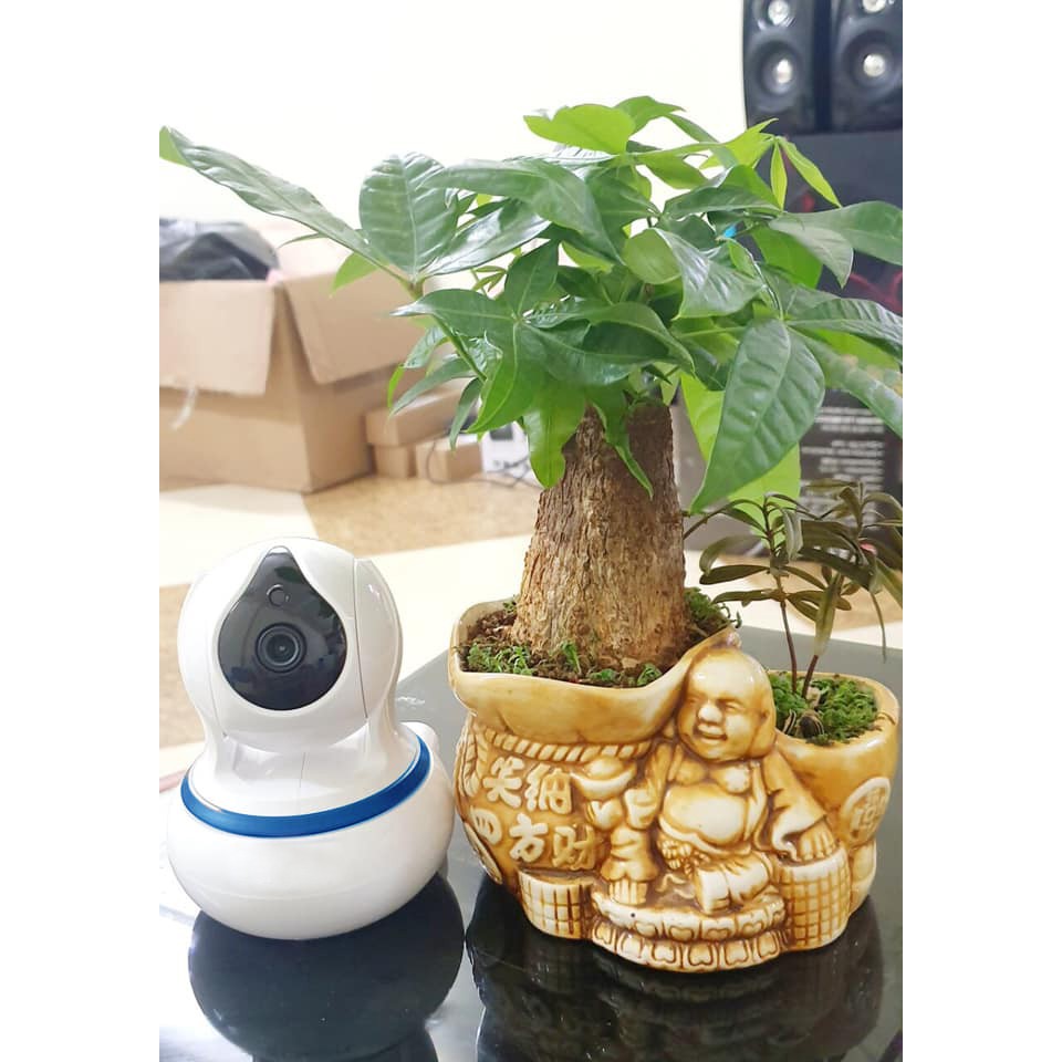 Camera FOFU Wifi FF-8120WP/W VSmaHome 1.0mpx