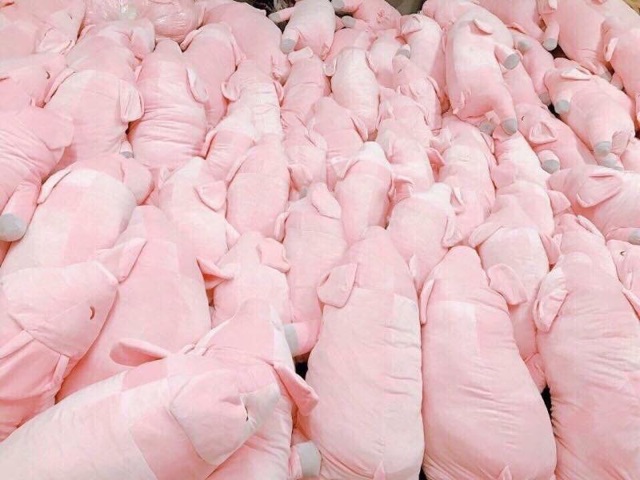 Lợn bông hồng 35cm và 75cm