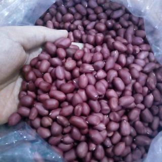 Lạc đỏ Nghệ An
