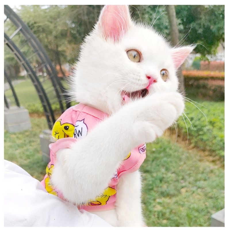 Áo Ba Lỗ Mỏng Mát Mẻ Chống Chảy Xệ Mùa Xuân Hè Cho Thú Cưng