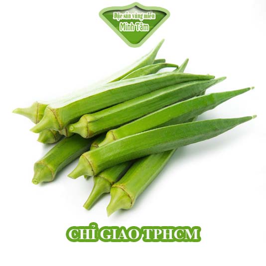 Đậu bắp tươi ngon loại 1