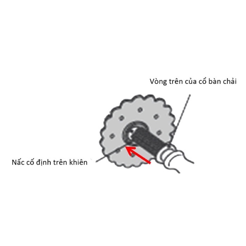 Bàn Chải Bước 4 T.L.I Richell