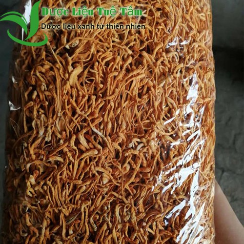 100g đông trùng hạ thảo - dược liệu Việt Nuôi cấy