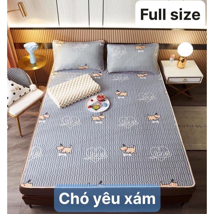 Chiếu điều hòa cao su non 5D Tencel,kích thước m6/m8, mẫu chó yêu xám