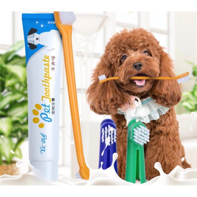 Bộ Đánh Răng Kem Đánh Răng Bàn Chải Đánh Răng Chó Mèo Pet Joothpaste - Lida Pet Shop