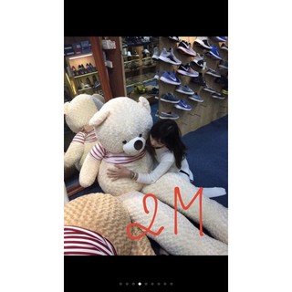 Gấu bông khổ vải 2m