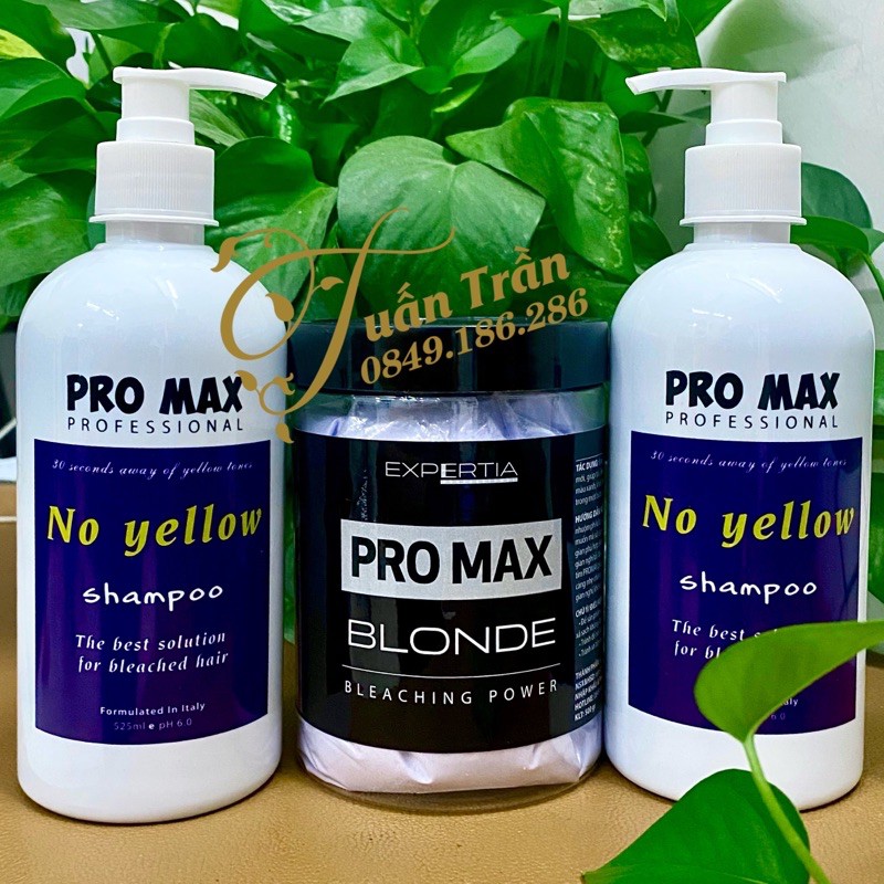 Combo Thuốc tẩy tóc, Bột tẩy tóc ProMax và Dầu gội tím ProMax siêu khử vàng | Bill Hair, Billhair