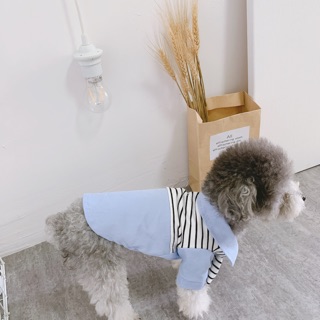 2 3MẪU ÁO SƠMI CỰC NGẦU CỰC COOL DÀNH CHO THÚ CƯNG (chó, mèo)