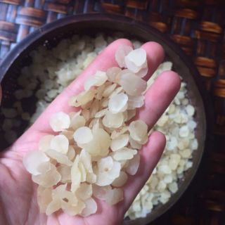 Tuyết Liên Tử/ Bồ Mễ