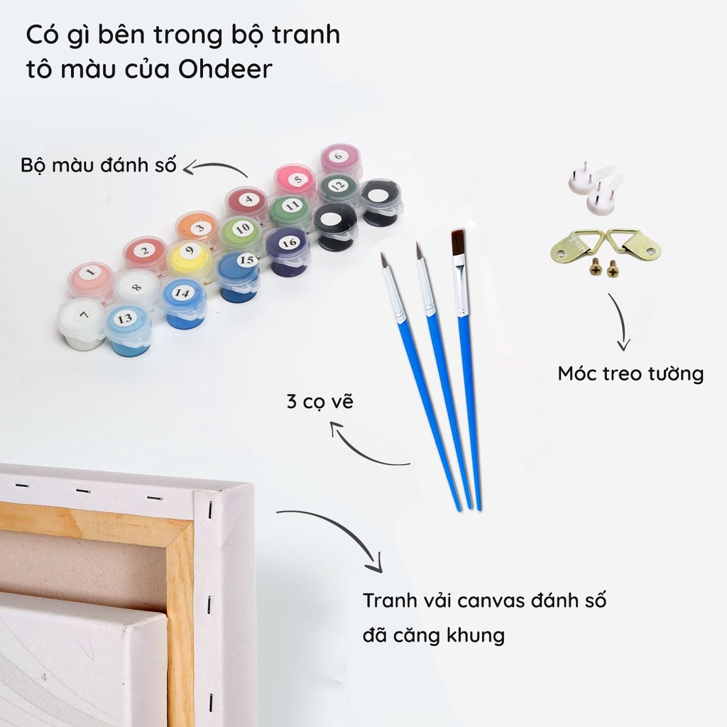 Tranh tô màu theo số | 40*50 | CÓ KHUNG | Hoạt hình - Anime - Manga - Totoro trên cánh đồng