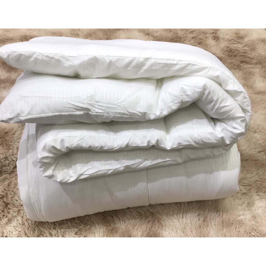 Ruột chăn Muji cao cấp xuất khẩu, Ruột chăn bông Bedding.Decor - Chăn ga gối có túi đựng phong cách