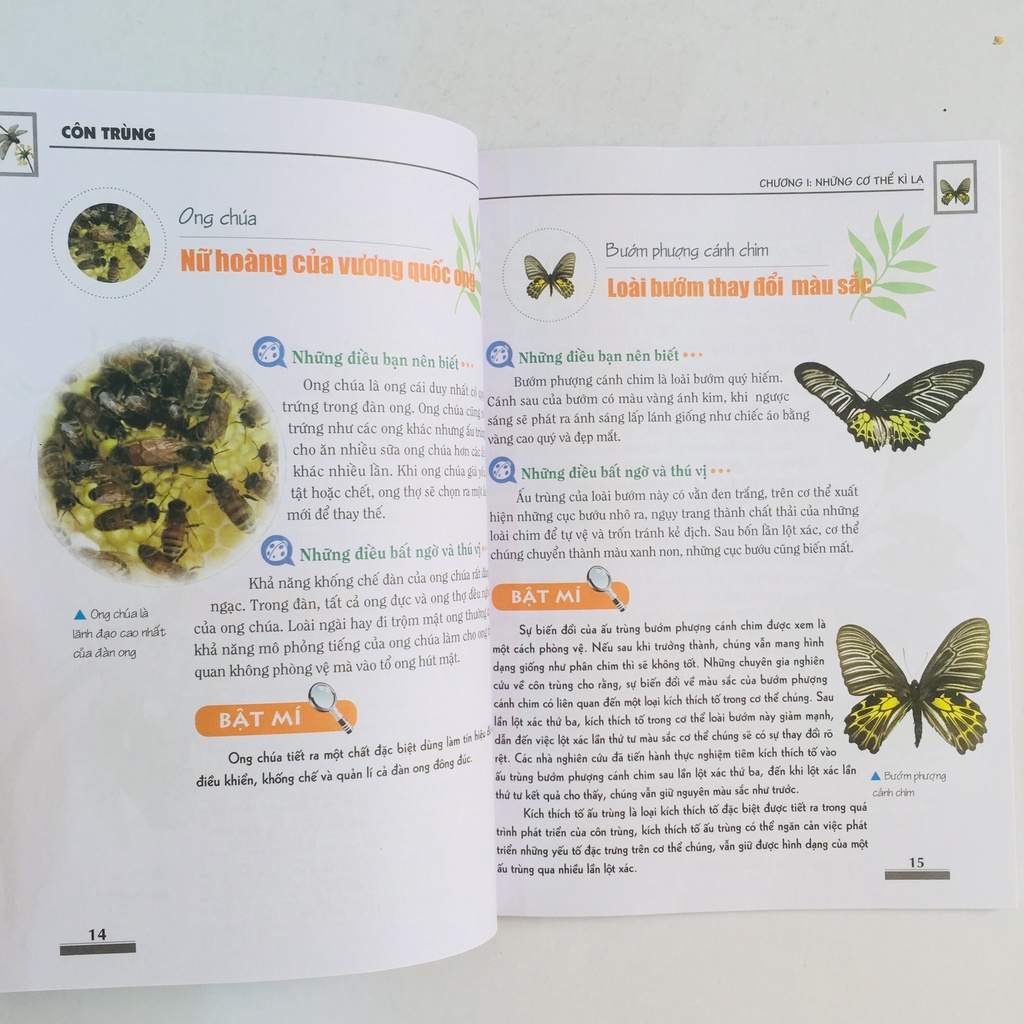 Sách Khám Phá Bí Ẩn Thế Giới Tự Nhiên (Trọn Bộ 5 Cuốn)