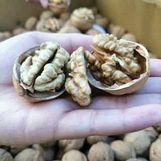 Sỉ lẻ quả óc chó 500g - 1kg