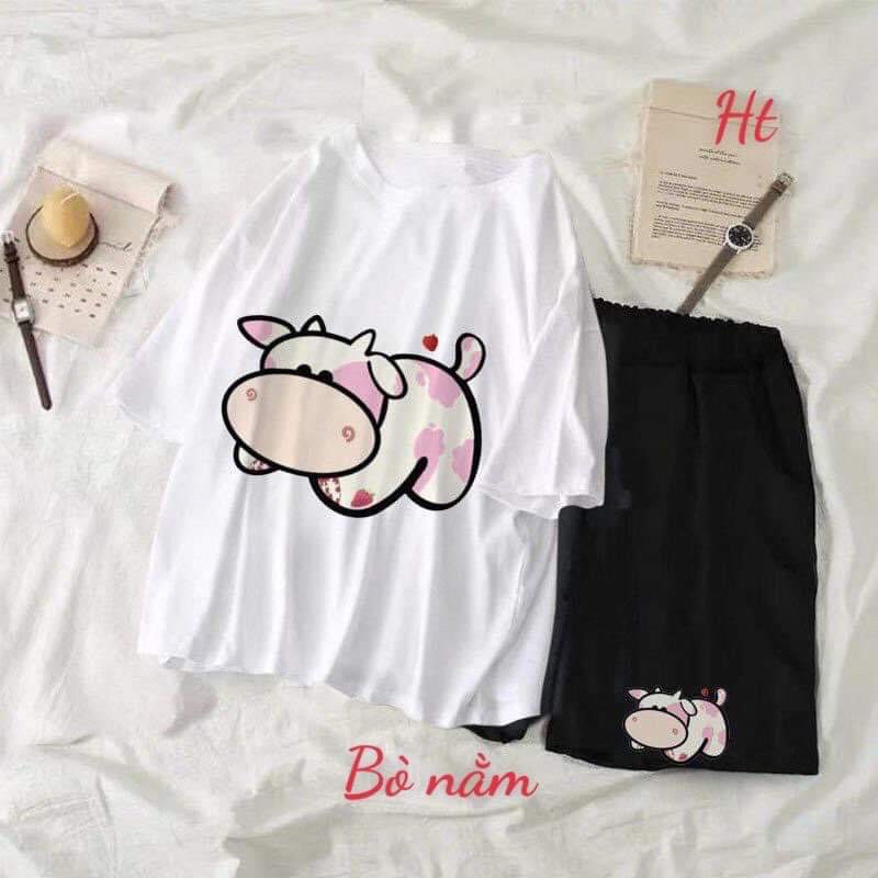 Sét đùi bò mẫu mới HT11