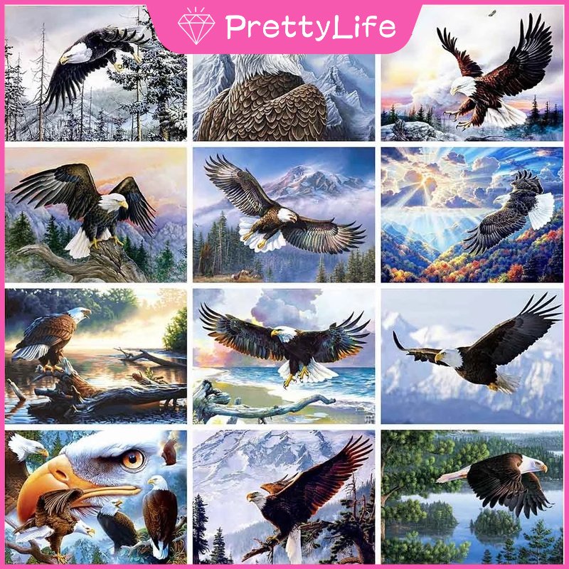 Bộ Tranh Đính Đá 5D Tự Làm 40X30Cm Hình Đại Bàng Trang Trí Nhà Cửa