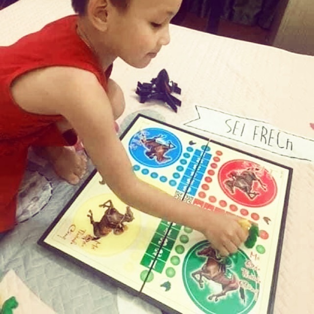 Bộ cá ngựa nam châm