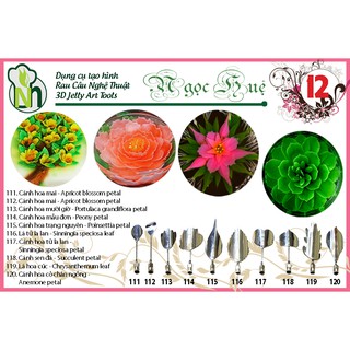 Dụng cụ làm thạch rau câu 3D Ngọc Huệ (bộ số 12 - hoa mai, trạng nguyên, mười giờ, mẫu đơn.)