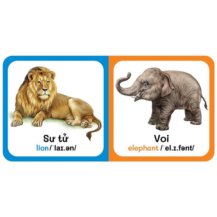 Sách - Từ Điển Bằng Hình Đầu Tiên Của Bé - Wild Animals - Động Vật Hoang Dã (Song Ngữ Anh-Việt)